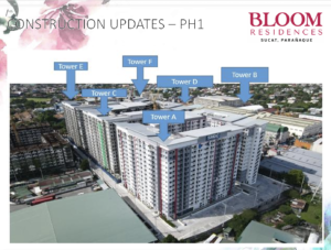 BLOOM PHASE 1